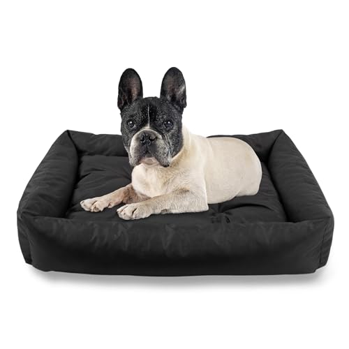 MISIOO Hundebett Waschbar 75x55 cm - Freundliches Bett für Hunde - Komfortabler Hundekorb Kleine Hunde - Perfekt für Kleine Rassen MISIOO Hundebett Waschbar 75x55 cm - Freundliches Bett für Hunde - Komfortabler Hundekorb Kleine Hunde - Perfekt für Kleine Rassen von MISIOO