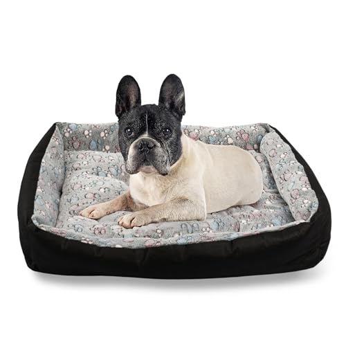 MISIOO Hundebett Waschbar 75x55 cm - Freundliches Bett für Kleine Hunde - Komfortabler Hundekorb Hunde - Perfekt für Kleine Rassen MISIOO Hundebett Waschbar 75x55 cm - Freundliches Bett für Kleine Hunde - Komfortabler Hundekorb Hunde - Perfekt für Kleine Rassen von MISIOO