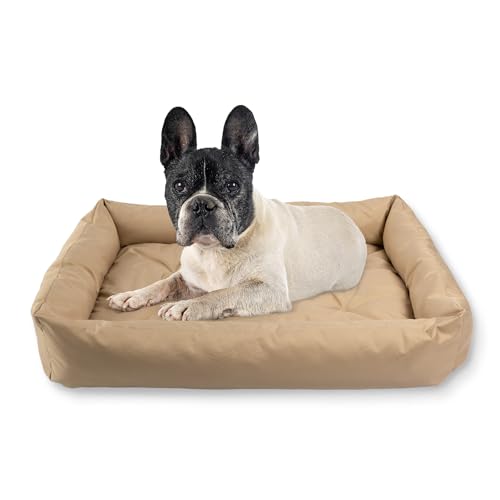 MISIOO Hundebett Waschbar 75x55 cm - Freundliches Hunde Bett für Hunde - Komfortabler Hundekorb - Perfekt für Kleine Rassen MISIOO Hundebett Waschbar 75x55 cm - Freundliches Hunde Bett für Hunde - Komfortabler Hundekorb - Perfekt für Kleine Rassen von MISIOO