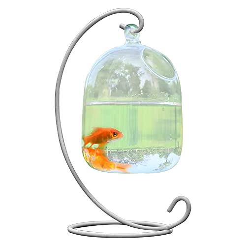 MISNODE Hängende Glasvase mit Ständer, kreative Fischvase aus Glas, transparent, Goldfischschale, kleine Tischplatte, Mini-Aquarium für Betta Fisch, Zuhause, Garten, Schreibtisch, Dekoration von MISNODE