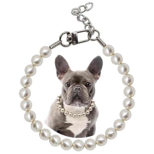 1,4 cm großes Perlen-Hundehalsband, geeignet für mittelgroße und große Hunde, Anlässe und Gartenpartys, starkes Edelstahl-Drahtseil, elegante, exquisite, verstellbare Hundeperlen-Halskette von MISS PET