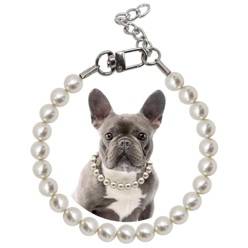 1,4 cm großes Perlen-Hundehalsband, geeignet für mittelgroße und große Hunde, Anlässe und Gartenpartys, starkes Edelstahl-Drahtseil, elegante, exquisite, verstellbare Hundeperlen-Halskette 1,4 cm großes Perlen-Hundehalsband, geeignet für mittelgroße und große Hunde, Anlässe und Gartenpartys, starkes Edelstahl-Drahtseil, elegante, exquisite, verstellbare Hundeperlen-Halskette von MISS PET