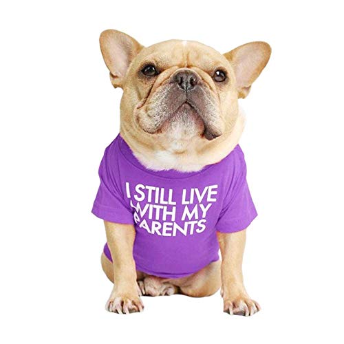 Französische Bulldogge Hunde-Shirt für Haustier-Kleidung, Welpen-T-Shirt, Katzen-T-Shirt, atmungsaktiv, dehnbar, Kostüm, Größe M von MISS PET