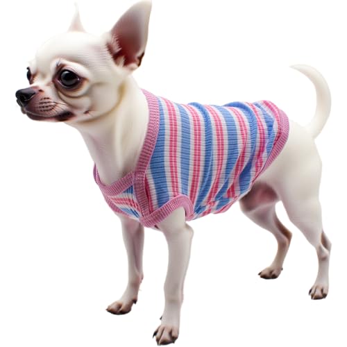 Welpenkleidung für kleine Hunde – niedliches geripptes Hunde-Shirt aus Baumwolle, ärmellos, atmungsaktiv, T-Shirt für Shih Tzu, Chihuahua, Yorkie, Sommer-Haustier-Outfit, Fotoshootings und den Welpenkleidung für kleine Hunde – niedliches geripptes Hunde-Shirt aus Baumwolle, ärmellos, atmungsaktiv, T-Shirt für Shih Tzu, Chihuahua, Yorkie, Sommer-Haustier-Outfit, Fotoshootings und den von MISS PET