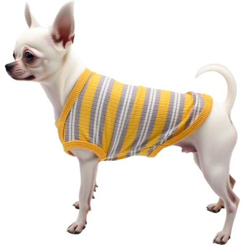 Welpenkleidung für kleine Hunde – niedliches geripptes Hunde-Shirt aus Baumwolle, ärmellos, atmungsaktiv, T-Shirt für Shih Tzu, Chihuahua, Yorkie, Sommer-Haustier-Outfit, Fotoshootings und den Welpenkleidung für kleine Hunde – niedliches geripptes Hunde-Shirt aus Baumwolle, ärmellos, atmungsaktiv, T-Shirt für Shih Tzu, Chihuahua, Yorkie, Sommer-Haustier-Outfit, Fotoshootings und den von MISS PET