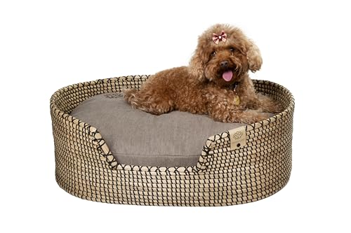 MISSLOTO Hundebett, Katzenbett, mittelgroße Hunde, Bett für mittelgroße Hunde, Katzenbett, orthopädisches Hundebett, orthopädisches Hundebett MISSLOTO Hundebett, Katzenbett, mittelgroße Hunde, Bett für mittelgroße Hunde, Katzenbett, orthopädisches Hundebett, orthopädisches Hundebett von MISSLOTO