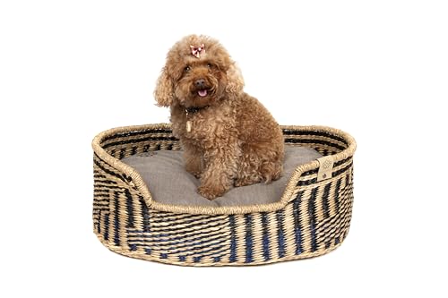 MISSLOTO Hundebett, Katzenbett, mittelgroße Hunde, Bett für mittelgroße Hunde, Katzenbett, orthopädisches Hundebett, orthopädisches Hundebett MISSLOTO Hundebett, Katzenbett, mittelgroße Hunde, Bett für mittelgroße Hunde, Katzenbett, orthopädisches Hundebett, orthopädisches Hundebett von MISSLOTO