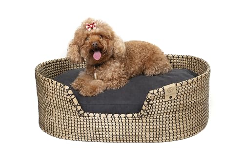 MISSLOTO Hundebett, Katzenbett, mittelgroße Hunde, Bett für mittelgroße Hunde, Katzenbett, orthopädisches Hundebett, orthopädisches Hundebett MISSLOTO Hundebett, Katzenbett, mittelgroße Hunde, Bett für mittelgroße Hunde, Katzenbett, orthopädisches Hundebett, orthopädisches Hundebett von MISSLOTO