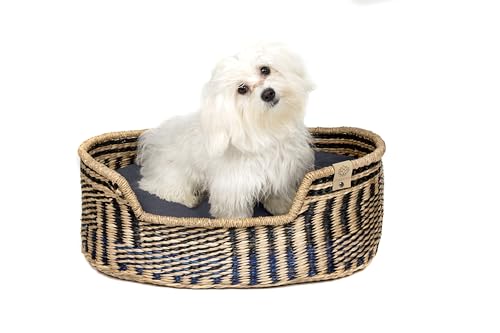 MISSLOTO Hundebett, Katzenbett, mittelgroße Hunde, Bett für mittelgroße Hunde, Katzenbett, orthopädisches Hundebett, orthopädisches Hundebett MISSLOTO Hundebett, Katzenbett, mittelgroße Hunde, Bett für mittelgroße Hunde, Katzenbett, orthopädisches Hundebett, orthopädisches Hundebett von MISSLOTO