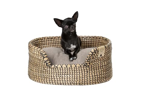MISSLOTO Hundebett, kleine Hunde, Bett für kleine Hunde, kleines Hundebett, orthopädisches Hundebett, viskoelastisches Hundebett, wasserdichtes Hundebett MISSLOTO Hundebett, kleine Hunde, Bett für kleine Hunde, kleines Hundebett, orthopädisches Hundebett, viskoelastisches Hundebett, wasserdichtes Hundebett von MISSLOTO