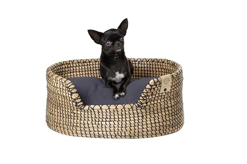 MISSLOTO Hundebett, kleine Hunde, Bett für kleine Hunde, kleines Hundebett, orthopädisches Hundebett, viskoelastisches Hundebett, wasserdichtes Hundebett MISSLOTO Hundebett, kleine Hunde, Bett für kleine Hunde, kleines Hundebett, orthopädisches Hundebett, viskoelastisches Hundebett, wasserdichtes Hundebett von MISSLOTO