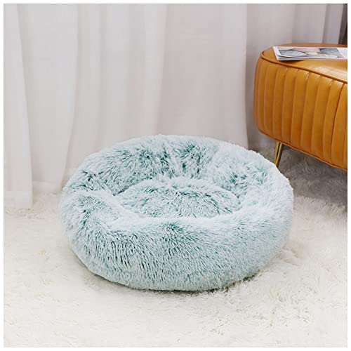 MISSMAO Deluxe-Haustierbett,für Katzen und Hunde, Hundebett Katzenbett Flauschig Rund aus Plüsch Donut Kuscheliges Hundekissen Hundekorb Waschbar,A-Green Weiß,100cm MISSMAO Deluxe-Haustierbett,für Katzen und Hunde, Hundebett Katzenbett Flauschig Rund aus Plüsch Donut Kuscheliges Hundekissen Hundekorb Waschbar,A-Green Weiß,100cm von MISSMAO