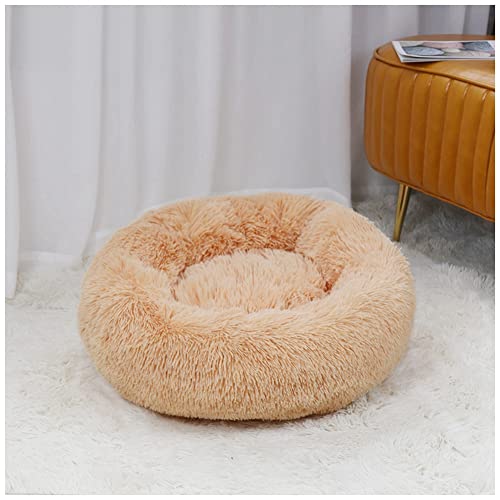 MISSMAO Deluxe-Haustierbett,für Katzen und Hunde, Hundebett Katzenbett Flauschig Rund aus Plüsch Donut Kuscheliges Hundekissen Hundekorb Waschbar,Aprikose,60cm MISSMAO Deluxe-Haustierbett,für Katzen und Hunde, Hundebett Katzenbett Flauschig Rund aus Plüsch Donut Kuscheliges Hundekissen Hundekorb Waschbar,Aprikose,60cm von MISSMAO