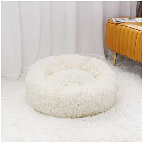 MISSMAO Deluxe-Haustierbett,für Katzen und Hunde, Hundebett Katzenbett Flauschig Rund aus Plüsch Donut Kuscheliges Hundekissen Hundekorb Waschbar,Weiß,70cm MISSMAO Deluxe-Haustierbett,für Katzen und Hunde, Hundebett Katzenbett Flauschig Rund aus Plüsch Donut Kuscheliges Hundekissen Hundekorb Waschbar,Weiß,70cm von MISSMAO