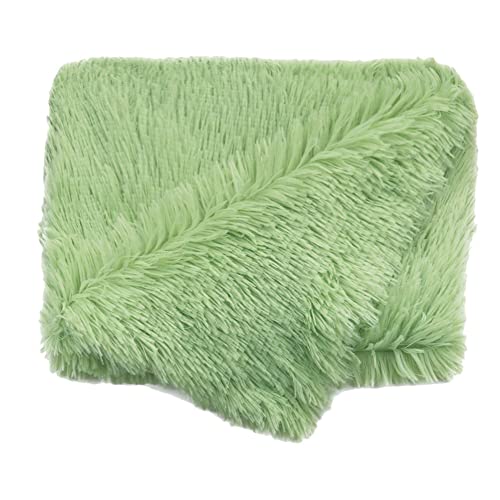 MISSMAO Hundematten, Luxus Plüsch weiche Haustier Matten, waschbar Hundekiste Betten Hundedecke für große mittlere und kleine Hunde und Katzen,Grün,S(50x36cm) von MISSMAO