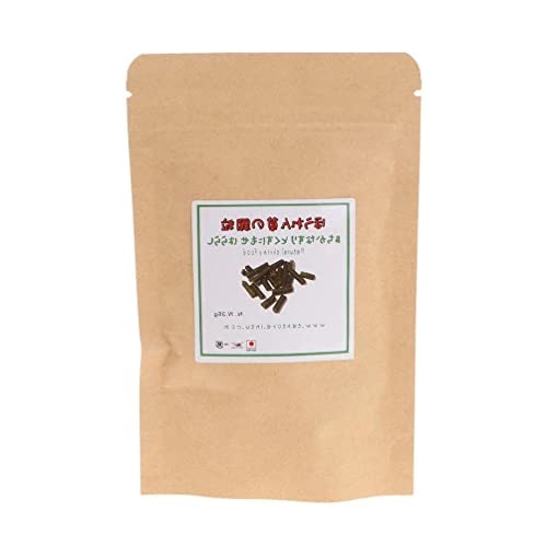 Fischfutter Spinat-Sticks Pellets Mischdiät Ernährung sinkendes Futter für Kristallgarnelen Bodenfütterung Fische 34 g Aquarium Heizung Licht Thermometer Kies Sand Dekorationen von MISUVRSE