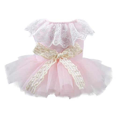 Hund Tutuu Kleid Hund Prinzessin Kleid Welpen Kleid Hundekostüm Hundekleider Hundebekleidung Haustier Kleider Hund Schleifen Kleid Hundekleider Hund Tutuu Kleid Hund Prinzessin Kleid Welpen Kleid Hundekostüm Hundekleider Hundebekleidung Haustier Kleider Hund Schleifen Kleid Hundekleider von MISUVRSE