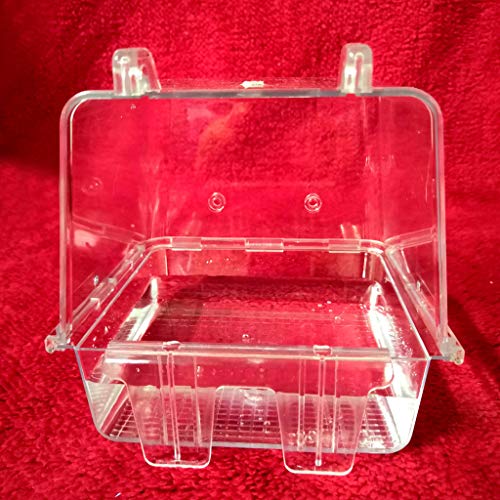 MISUVRSE Vogel Badezimmer Futterbox Transparentes Acryl Für Papageien Sittiche Lovebirds Badewanne Papageienspielzeug Graupapageien Für Kleine Papageien Für Große Vögel Sittiche Aras Set Großes von MISUVRSE