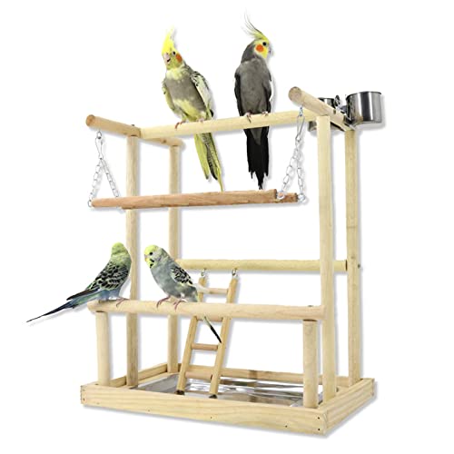 Parrot Playstand Perch Gym Bird Gym Birdcage Stand Bird Playground Bird Perch Stand Sittiche Übung Spielzeug Papageienständer Vogelkäfig Ständer von MISUVRSE