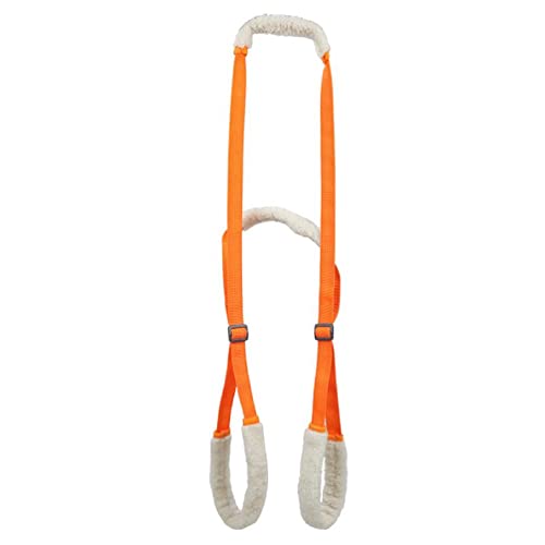Rear Support Harness For Rear Legs Lifting Aid With Handle Great For Pet Mobility And Older Dogs Comfortable Material Dog Support Lift Harness With Handle Rear Lifting Harness For Back Rear Legs Small Rear Support Harness For Rear Legs Lifting Aid With Handle Great For Pet Mobility And Older Dogs Comfortable Material Dog Support Lift Harness With Handle Rear Lifting Harness For Back Rear Legs Small von MISUVRSE