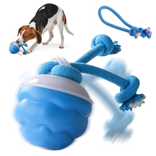 MIUUIPI Interaktives Hundespielzeug, Hundebälle für Hunde Mit 2 Kauschnüren, Hundespielzeug für Langeweile, Aufladbar Selbstrollender Ball für Kleine und Mittelgroße Hunde von MIUUIPI