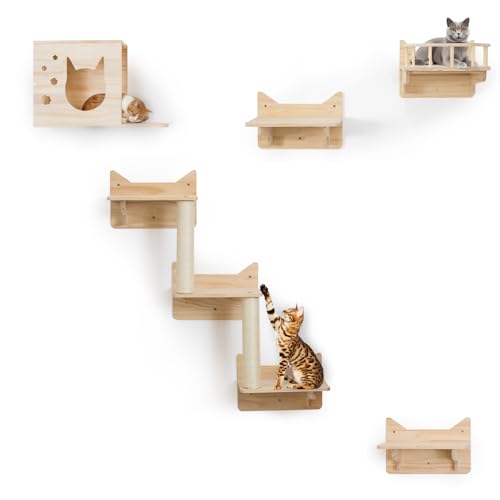 MIUZMORE 9 PCS Katzen Kletterwand Set aus Kiefernholz - 5 Kletterwand Katzen inklusive, Kratzbaum mit 3 Stufen, Sitzstange, Katzenhaus und Katzenwohnung - katzenkletterwand von MIUZMORE