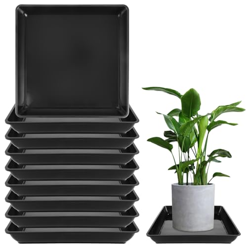 MIVIDE 10 Stück Blumentopf Untersetzer Quadratische, 30 x 30 x 4.5 cm Untersetzer Blumentopf Schwarz Kunststoff, Pflanztopf Untersetzer für Outdoor Indoor Pflanzen von MIVIDE