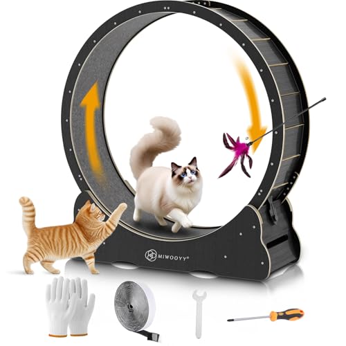 MIWOOYY Großes Katzen-Laufrad 110cm – schwarzes Massivholz-Katzenrad-Trainingsgerät für Indoor-Katzen, Sicherheits-Laufband mit Schloss und minimiertem Lücken-Design MIWOOYY Großes Katzen-Laufrad 110cm – schwarzes Massivholz-Katzenrad-Trainingsgerät für Indoor-Katzen, Sicherheits-Laufband mit Schloss und minimiertem Lücken-Design von MIWOOYY