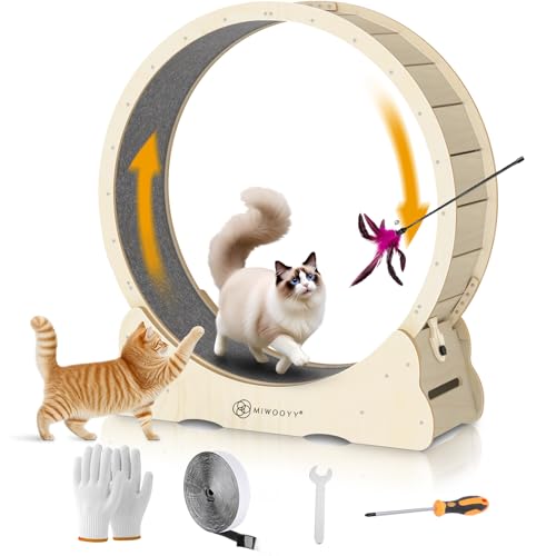 MIWOOYY Großes Katzen-Laufrad 132cm – natürliches Massivholz, Katzenrad für Indoor-Katzen, Sicherheits-Laufband mit Schloss und minimiertem Lücken-Design von MIWOOYY