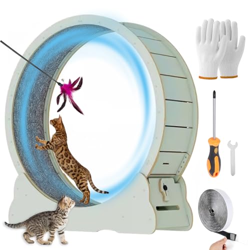 MIWOOYY Großes Katzenlaufrad 100cm – Minze Grün Katzenrad aus Massivholz für Drinnen, Sicherheits Laufrad mit Schloss und Minimiertem Spaltdesign MIWOOYY Großes Katzenlaufrad 100cm – Minze Grün Katzenrad aus Massivholz für Drinnen, Sicherheits Laufrad mit Schloss und Minimiertem Spaltdesign von MIWOOYY