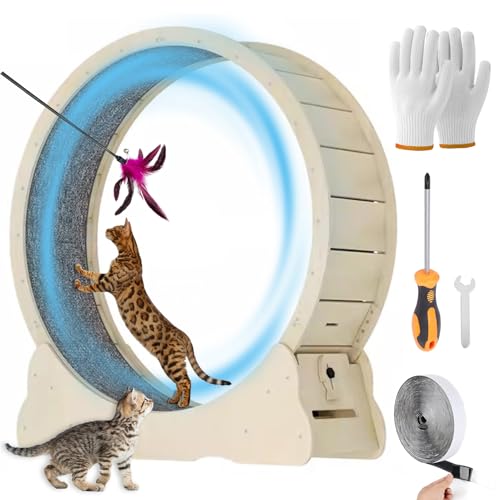 MIWOOYY Katzenlaufrad Großes Laufrad für Katzen 100cm – Natürliche Katzenrad aus Massivholz für Drinnen Katzen, Sicherheits Katzen Laufrad mit Schloss und Minimiertem Spaltdesign MIWOOYY Katzenlaufrad Großes Laufrad für Katzen 100cm – Natürliche Katzenrad aus Massivholz für Drinnen Katzen, Sicherheits Katzen Laufrad mit Schloss und Minimiertem Spaltdesign von MIWOOYY
