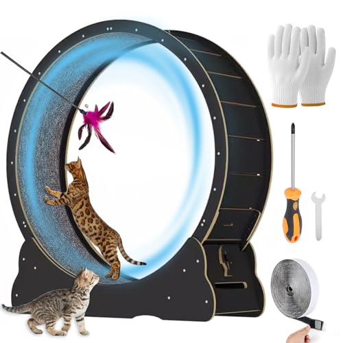 MIWOOYY Katzenlaufrad Großes Laufrad für Katzen 100cm – Schwarzes Katzenrad aus Massivholz für Drinnen Katzen, Sicherheits Katzen Laufrad mit Schloss und Minimiertem Spaltdesign MIWOOYY Katzenlaufrad Großes Laufrad für Katzen 100cm – Schwarzes Katzenrad aus Massivholz für Drinnen Katzen, Sicherheits Katzen Laufrad mit Schloss und Minimiertem Spaltdesign von MIWOOYY
