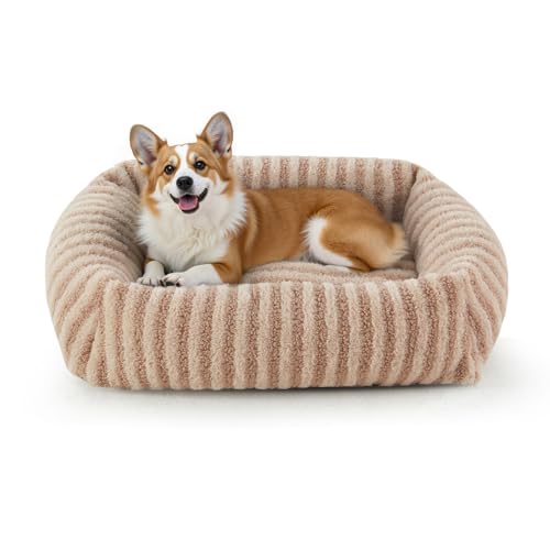 MIXJOY Hundebett, Größe M, Übergröße, orthopädische Haustierbetten, Hundehüttenmatte mit abnehmbarem, waschbarem Bezug, rechteckige, rutschfeste Unterseite, geeignet für Haustiere bis zu 18 kg, Beige von MIXJOY