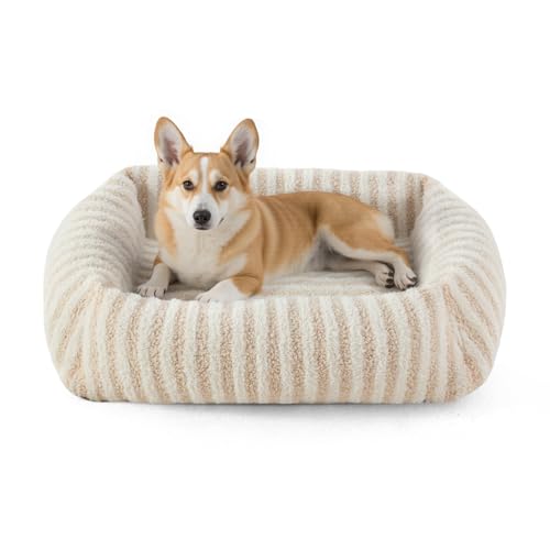 MIXJOY Hundebett, Größe M, Übergröße, orthopädische Haustierbetten, Hundehüttenmatte mit abnehmbarem, waschbarem Bezug, rechteckige, rutschfeste Unterseite, geeignet für Haustiere bis zu 18 kg, Weiß von MIXJOY