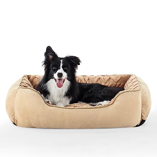 MIXJOY Hundebett Grosse Hunde, Hundekorb Waschbar, Hundebetten HundeköRbchen mit Hoher Rand, rutschfest Hundesofa, Hundebett Flauschig XL, für Kleine, Mittelgroße & Große Hunde, Beige 89 x 63 x 23cm MIXJOY Hundebett Grosse Hunde, Hundekorb Waschbar, Hundebetten HundeköRbchen mit Hoher Rand, rutschfest Hundesofa, Hundebett Flauschig XL, für Kleine, Mittelgroße & Große Hunde, Beige 89 x 63 x 23cm von MIXJOY