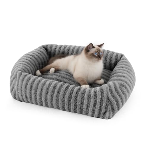 MIXJOY Kleines Hundebett, orthopädische, waschbare Haustierbetten mit abnehmbarem Bezug, rechteckige, rutschfeste Unterseite, Haustiermatte für Katzen und Welpen, geeignet für Haustiere bis zu 5,4 kg von MIXJOY