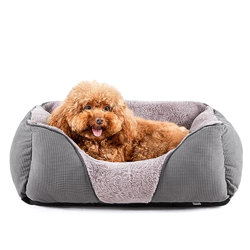 MIXJOY Waschbares Haustierbett für Hunde und Katzen, weiches orthopädisches Welpenbett mit Rutschfester Unterseite, beruhigendes Kuscheltier für kleine Haustiere (50,8 x 48,3 cm, Grau) von MIXJOY