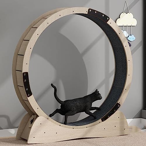 Großes Katzen-Trainingsrad für Hauskatzen, Außendurchmesser 120 cm, Katzenrad mit Sicherheitsschloss und austauschbaren Griffpolstern, geräuschlose Rollen, Katzenlaufrad zum Abnehmen und Trainieren Großes Katzen-Trainingsrad für Hauskatzen, Außendurchmesser 120 cm, Katzenrad mit Sicherheitsschloss und austauschbaren Griffpolstern, geräuschlose Rollen, Katzenlaufrad zum Abnehmen und Trainieren von MJBDCVN