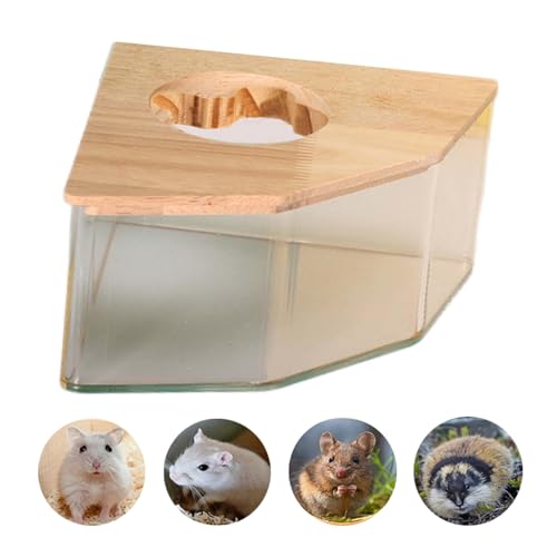 Hamster-Sandbadbehälter, transparente Acryl-Sandbadebox und Haustierbad, Acryl-Hamster-Grabbox mit Holzabdeckung, kleine Tiere, Graben Sandbehälter für Mäuse, Lemming-Rennmäuse, Zwerg (Pentagramm L) Hamster-Sandbadbehälter, transparente Acryl-Sandbadebox und Haustierbad, Acryl-Hamster-Grabbox mit Holzabdeckung, kleine Tiere, Graben Sandbehälter für Mäuse, Lemming-Rennmäuse, Zwerg (Pentagramm L) von MJLOMJ