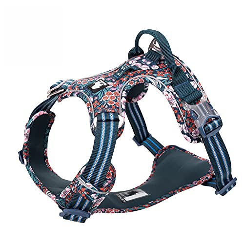 MJLOMJ Hundegeschirr Kleine Hunde Anti Zug Geschirr No Pull Reflektierend Geschirr 100% Baumwolle+Nylon Atmungsaktiv Hunde Brustgeschirr Einstellbar Sicherheitsgeschirr,Grün,3XS MJLOMJ Hundegeschirr Kleine Hunde Anti Zug Geschirr No Pull Reflektierend Geschirr 100% Baumwolle+Nylon Atmungsaktiv Hunde Brustgeschirr Einstellbar Sicherheitsgeschirr,Grün,3XS von MJLOMJ