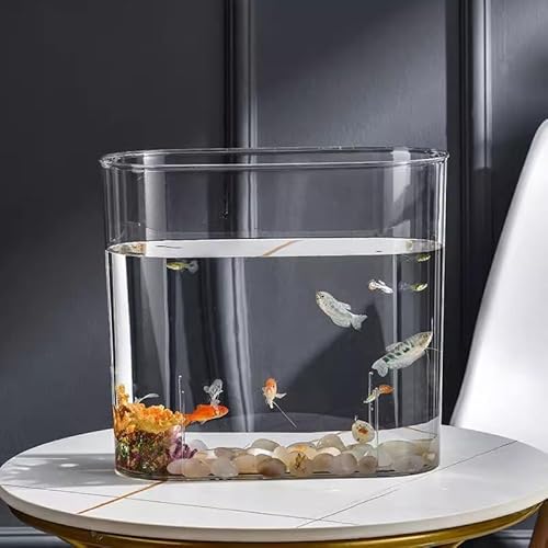 Tropisches Aquarium, Acryl, oval, transparent, für kleine Fische, 31,5 x 28,5 x 14 cm Tropisches Aquarium, Acryl, oval, transparent, für kleine Fische, 31,5 x 28,5 x 14 cm von MJLOMJ