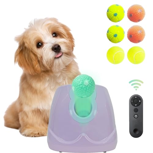 MKSY - Automatischer Ballwerfer für Hunde, Ballwerfer für Hunde, interaktives Haustierspielzeug mit Bällen (Lila mit Fernbedienung) von MKSY