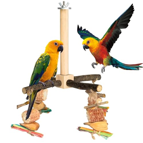 Rotierender Papageien-Sitzstange – Natürliches Holzvogelkäfig-Zubehör, Vogelständer mit Kauspielzeug und Übungsrädern, natürlicher Holz-Sitzstange für kleine und mittelgroße Vögel Rotierender Papageien-Sitzstange – Natürliches Holzvogelkäfig-Zubehör, Vogelständer mit Kauspielzeug und Übungsrädern, natürlicher Holz-Sitzstange für kleine und mittelgroße Vögel von MLLNFUE