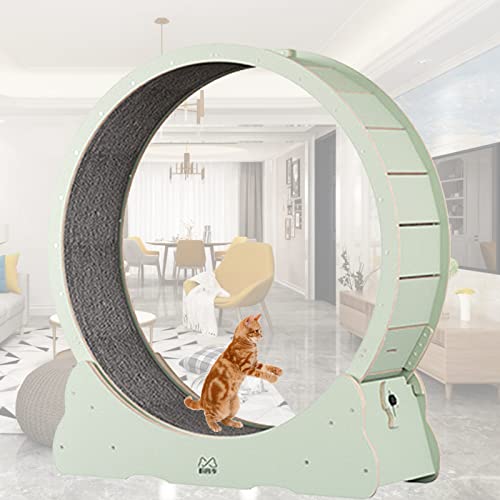 Cat Running Wheel Cat Wheel, Cat Toys, Kitten Toys, Indoor Cat Toys CAT Exercise Wheel Verriegelungsmechanismus, TPE leise und geräuschlose Rollen,L-Green von MLYYYDSS