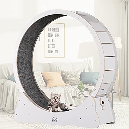 Cat Running Wheel Cat Wheel, Cat Toys, Kitten Toys, Indoor Cat Toys CAT Exercise Wheel Verriegelungsmechanismus, TPE leise und geräuschlose Rollen,M-White von MLYYYDSS