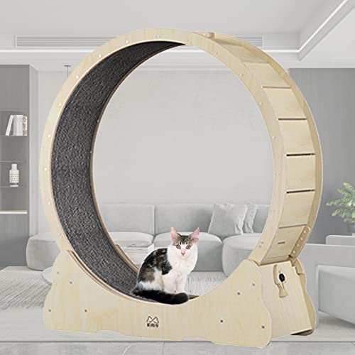 Cat Running Wheel Cat Wheel, Cat Toys, Kitten Toys, Indoor Cat Toys CAT Exercise Wheel Verriegelungsmechanismus, TPE leise und geräuschlose Rollen,XL-Woodcolor von MLYYYDSS