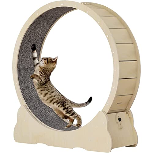 Katzenrad, Katzenlauf, Trainingsrad, niedliche Katzenmöbel, Haustierspielzeug, Katzenspielzeug, Abmagerungsgerät,S-Woodcolor Katzenrad, Katzenlauf, Trainingsrad, niedliche Katzenmöbel, Haustierspielzeug, Katzenspielzeug, Abmagerungsgerät,S-Woodcolor von MLYYYDSS