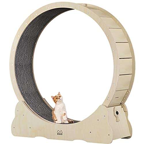 MLYYYDSS Laufrad für Katzen – Laufen, Spinnen und Kratzen, Laufband mit Teppichboden, Katzensportspielzeug, ideal für körperliche Aktivität und zur Verringerung von Langeweile, S-Woodcolor von MLYYYDSS