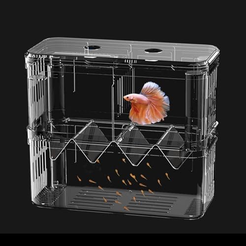 MLqkpwy Aufzuchtbox für Inkubator, Aufzuchtbox für Aquarien, Inkubator aus Acryl, zweischichtiger Aufzuchtbehälter – transparente Schlüpfbox mit Saugnapf für Fische MLqkpwy Aufzuchtbox für Inkubator, Aufzuchtbox für Aquarien, Inkubator aus Acryl, zweischichtiger Aufzuchtbehälter – transparente Schlüpfbox mit Saugnapf für Fische von MLqkpwy