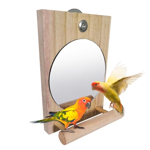 MLqkpwy Vogelspiegel, Vogelspiegel, Sittiche, Sitzstangen, Spielzeug, Holzständer, interaktives , Haustierzubehör für Nymphensittiche, Kanarienvögel, Finken, Lovebird, afrikanischer Grauaras MLqkpwy Vogelspiegel, Vogelspiegel, Sittiche, Sitzstangen, Spielzeug, Holzständer, interaktives , Haustierzubehör für Nymphensittiche, Kanarienvögel, Finken, Lovebird, afrikanischer Grauaras von MLqkpwy